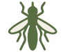 Mosquito Nets
